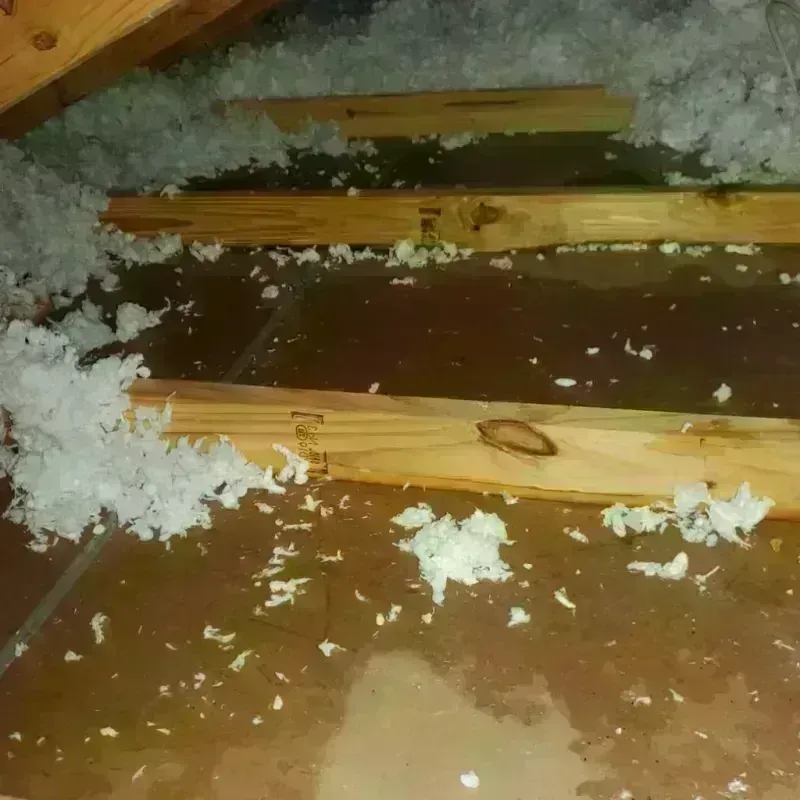 Attic Water Damage in Lincolnville, ME